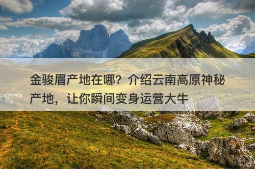 金骏眉产地在哪？介绍云南高原神秘产地，让你瞬间变身运营大牛
