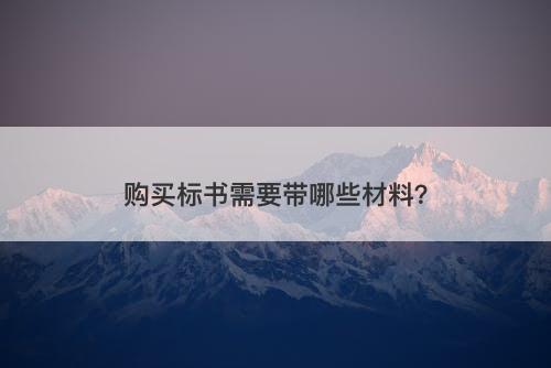 购买标书需要带哪些材料？