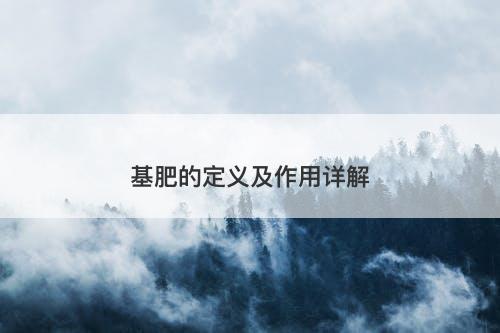 基肥的定义及作用详解