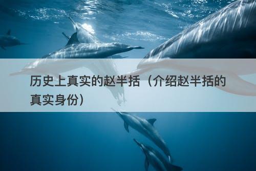 历史上真实的赵半括（介绍赵半括的真实身份）