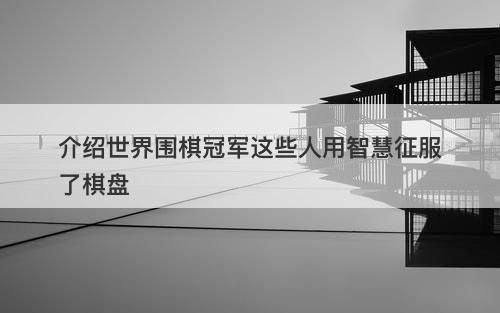 介绍世界围棋冠军这些人用智慧征服了棋盘