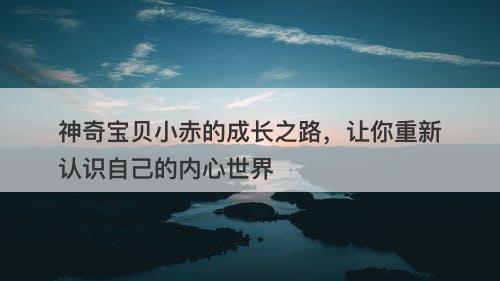 神奇宝贝小赤的成长之路，让你重新认识自己的内心世界