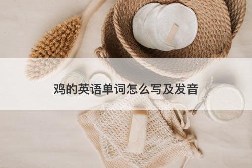鸡的英语单词怎么写及发音