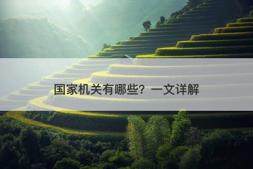 国家机关有哪些？一文详解