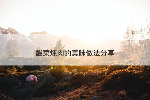 酸菜炖肉的美味做法分享