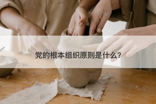 党的根本组织原则是什么？-图1