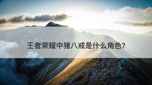 王者荣耀中猪八戒是什么角色？-图1