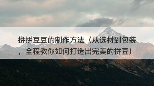 拼拼豆豆的制作方法（从选材到包装，全程教你如何打造出完美的拼豆）