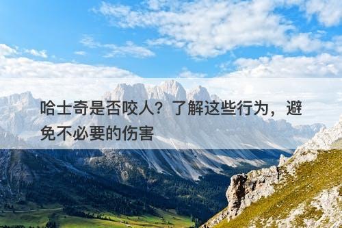哈士奇是否咬人？了解这些行为，避免不必要的伤害