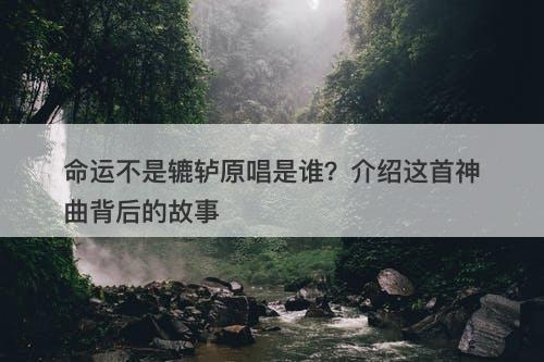 命运不是辘轳原唱是谁？介绍这首神曲背后的故事