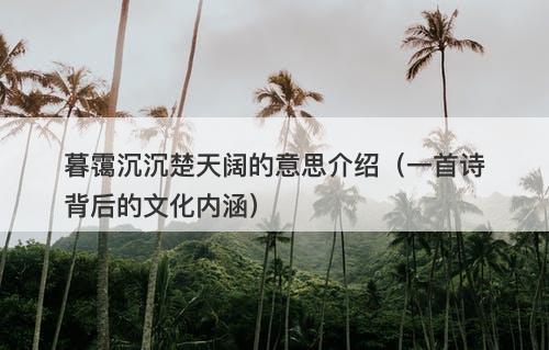 暮霭沉沉楚天阔的意思介绍（一首诗背后的文化内涵）-图1