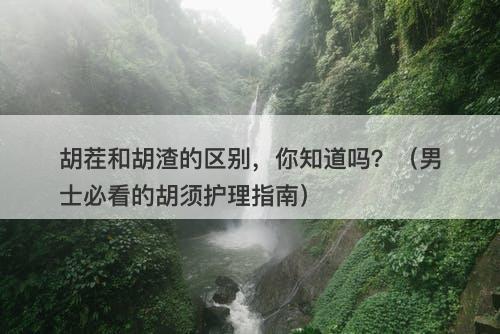 胡茬和胡渣的区别，你知道吗？（男士必看的胡须护理指南）