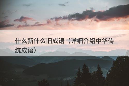 什么新什么旧成语（详细介绍中华传统成语）