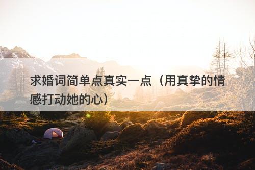 求婚词简单点真实一点（用真挚的情感打动她的心）