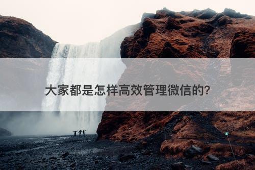 大家都是怎样高效管理微信的？