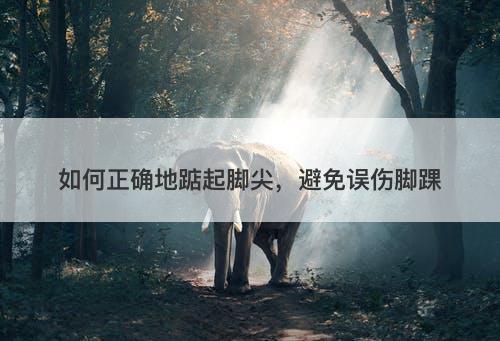 如何正确地踮起脚尖，避免误伤脚踝
