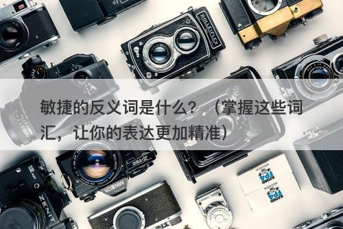 敏捷的反义词是什么？（掌握这些词汇，让你的表达更加精准）