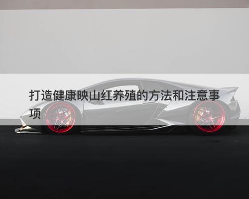 打造健康映山红养殖的方法和注意事项