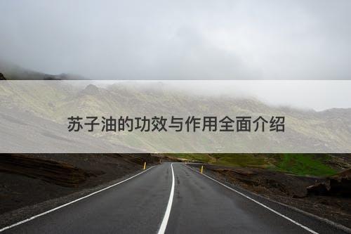 苏子油的功效与作用全面介绍