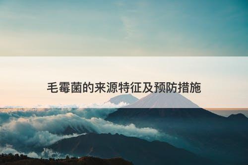 毛霉菌的来源特征及预防措施