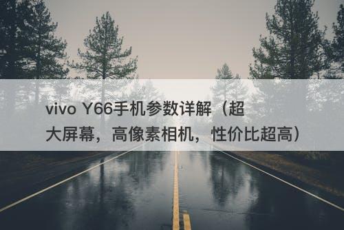vivo Y66手机参数详解（超大屏幕，高像素相机，性价比超高）