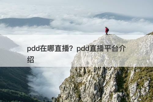 pdd在哪直播？pdd直播平台介绍