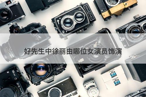好先生中徐丽由哪位女演员饰演