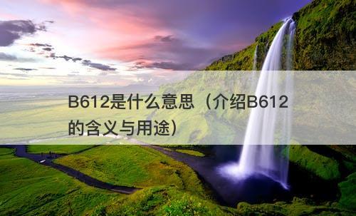 B612是什么意思（介绍B612的含义与用途）