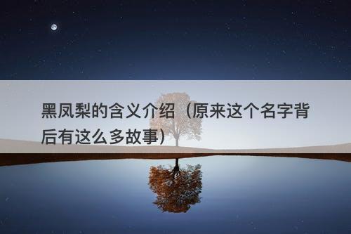 黑凤梨的含义介绍（原来这个名字背后有这么多故事）