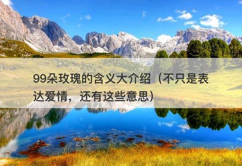 99朵玫瑰的含义大介绍（不只是表达爱情，还有这些意思）