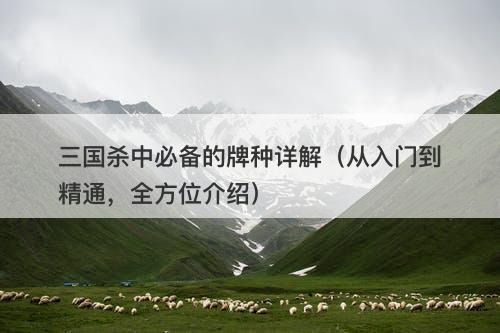 三国杀中必备的牌种详解（从入门到精通，全方位介绍）