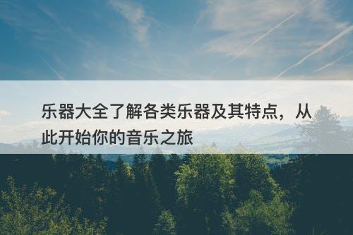 乐器大全了解各类乐器及其特点，从此开始你的音乐之旅