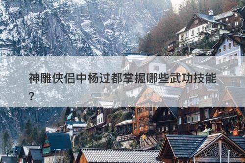 神雕侠侣中杨过都掌握哪些武功技能？