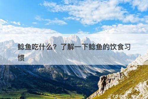 鲶鱼吃什么？了解一下鲶鱼的饮食习惯