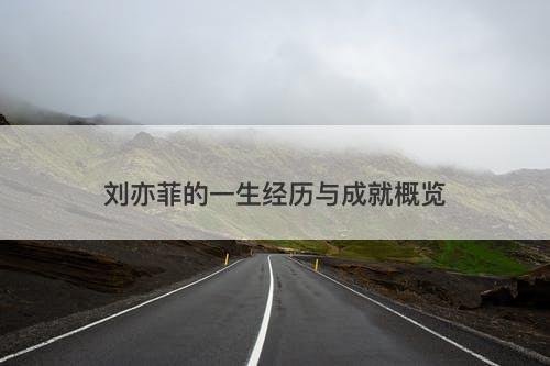 刘亦菲的一生经历与成就概览