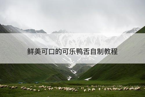 鲜美可口的可乐鸭舌自制教程