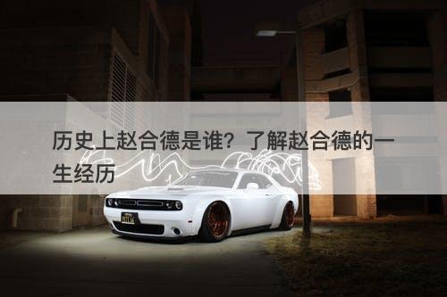 历史上赵合德是谁？了解赵合德的一生经历