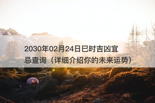 2030年02月24日巳时吉凶宜忌查询（详细介绍你的未来运势）