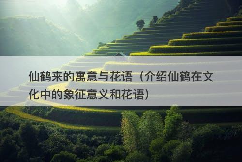 仙鹤来的寓意与花语（介绍仙鹤在文化中的象征意义和花语）