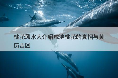 桃花风水大介绍咸池桃花的真相与黄历吉凶