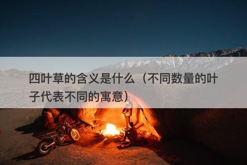 四叶草的含义是什么（不同数量的叶子代表不同的寓意）