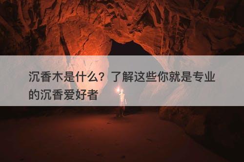 沉香木是什么？了解这些你就是专业的沉香爱好者