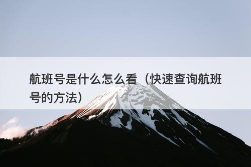 航班号是什么怎么看（快速查询航班号的方法）