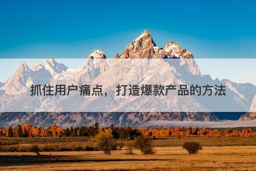 抓住用户痛点，打造爆款产品的方法