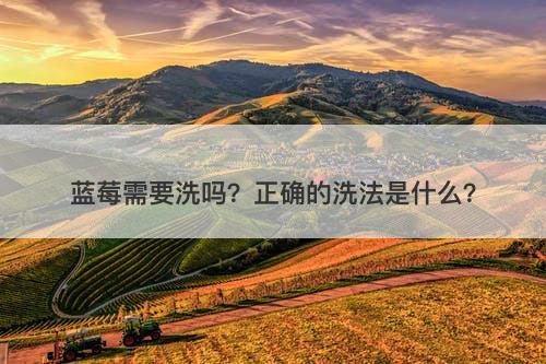 蓝莓需要洗吗？正确的洗法是什么？
