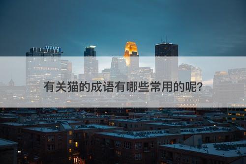 有关猫的成语有哪些常用的呢？