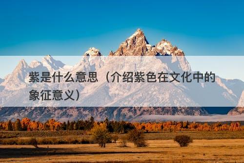 紫是什么意思（介绍紫色在文化中的象征意义）