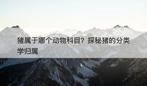 猪属于哪个动物科目？探秘猪的分类学归属