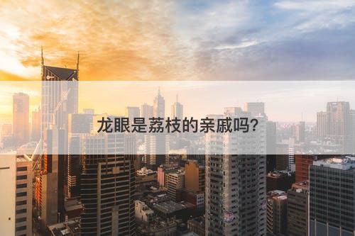 龙眼是荔枝的亲戚吗？