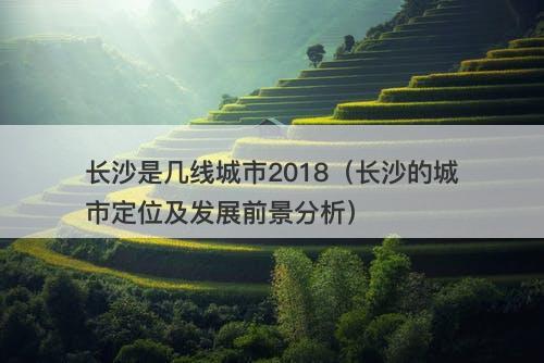 长沙是几线城市2018（长沙的城市定位及发展前景分析）